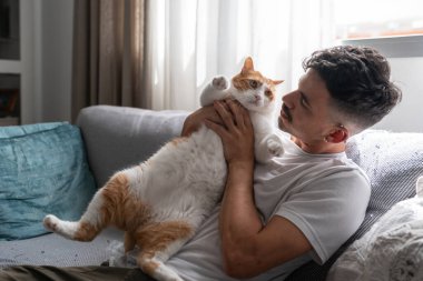 Kanepede oturan genç adam kahverengi ve beyaz bir kediyi rahatsız ediyor.