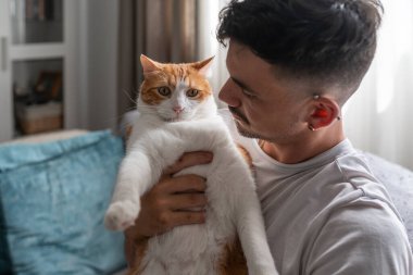 Kanepede oturan genç adam kahverengi ve beyaz bir kediyi rahatsız ediyor.