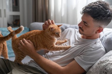 Genç bir adamın göğsünde duran kahverengi tekir kedi.