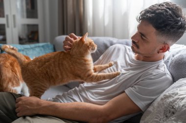 Genç bir adamın göğsünde duran kahverengi tekir kedi.