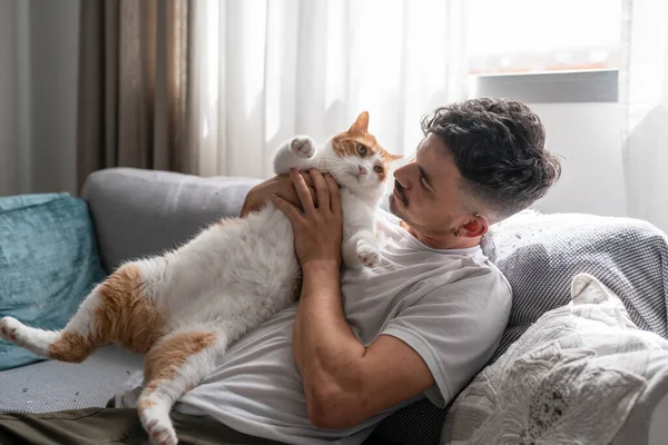 Joven Sentado Sofá Molesta Gato Marrón Blanco —  Fotos de Stock