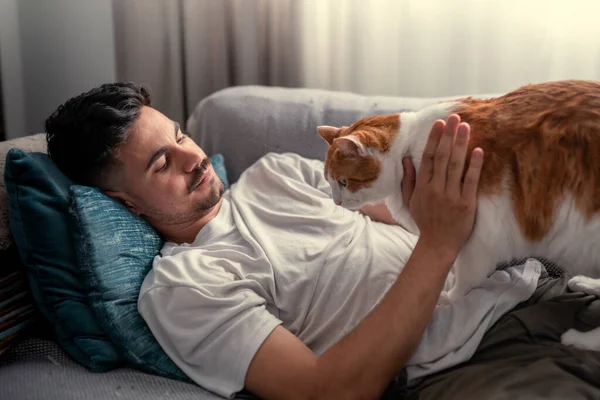 閉めろ ソファに横になって茶色と白の猫を抱きかかえて — ストック写真