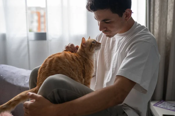 Κλείσε Νεαρός Άνδρας Αλληλεπιδρά Μια Καφέ Γάτα Στο Παράθυρο — Φωτογραφία Αρχείου