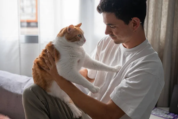 Junger Mann Und Braune Und Weiße Katze Spielen Zusammen Wohnzimmer — Stockfoto
