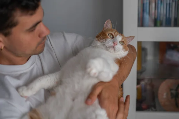 Ung Man Håller Brun Och Vit Katt Med Gula Ögon — Stockfoto
