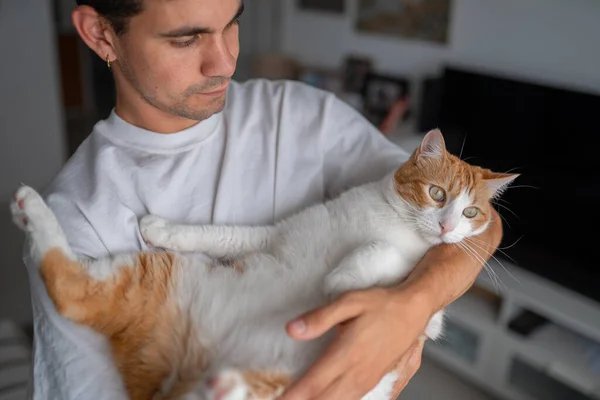 Jongeman Houdt Een Bruin Witte Kat Met Gele Ogen Zijn — Stockfoto