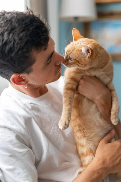 Κάθετη Σύνθεση Καφέ Tabby Γάτα Πράσινα Μάτια Και Νεαρός Άνδρας — Φωτογραφία Αρχείου