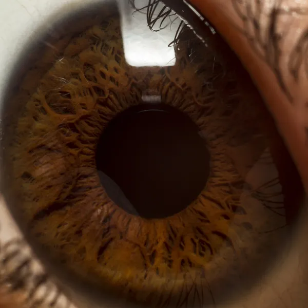 kadın kahverengi gözler. Makro