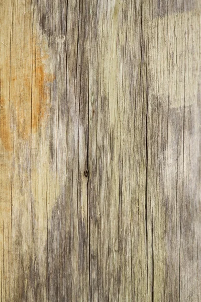 Textura madera — Foto de Stock