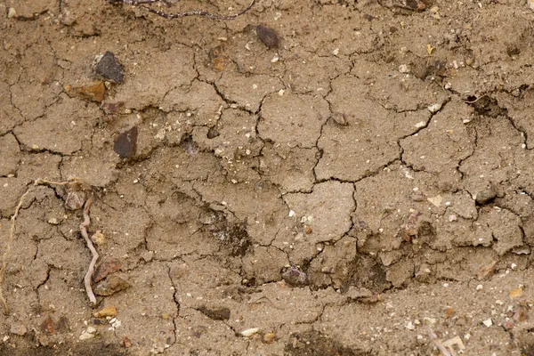 Terreno incrinato — Foto Stock