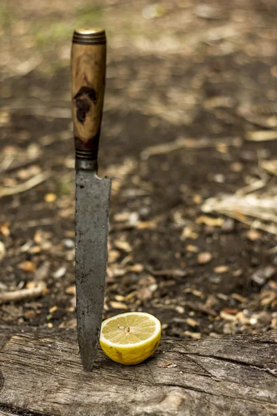 Knife with lemon — Stock Photo, Image