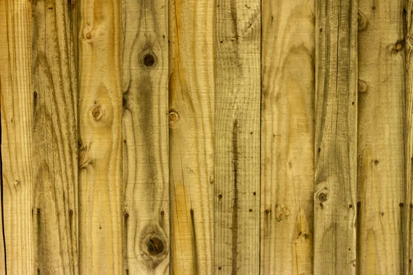 Struttura del legno — Foto Stock