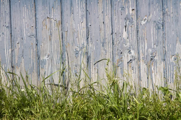 Houten hek met gras — Stockfoto