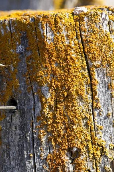 Hout en draad hek — Stockfoto