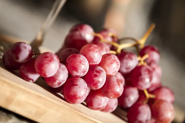 Grapes — Stock Photo, Image