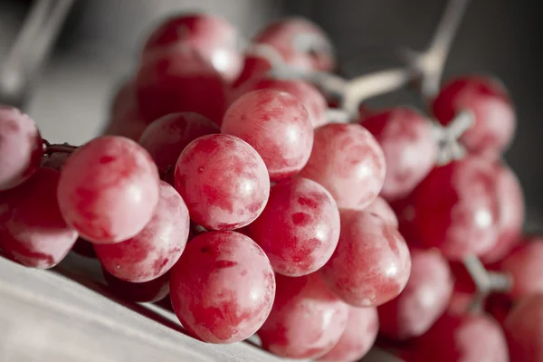 Grapes — Stock Photo, Image