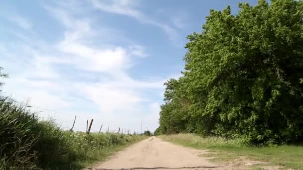 Брудна дорога в полях — стокове відео