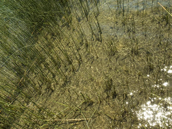透明な水で湖 — ストック写真
