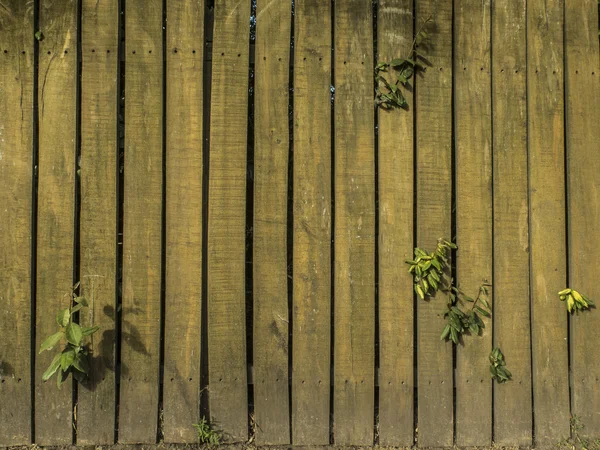 Cerca de madeira — Fotografia de Stock