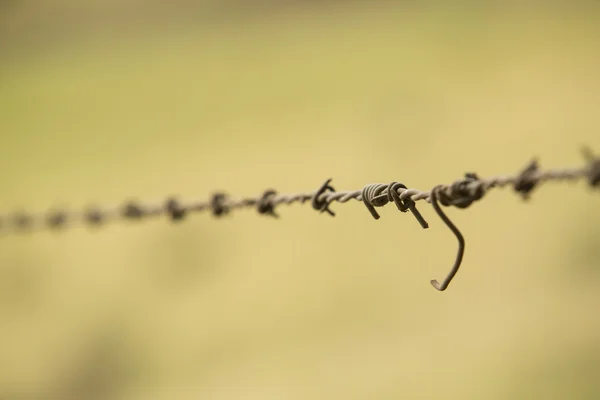 Tel çit — Stok fotoğraf