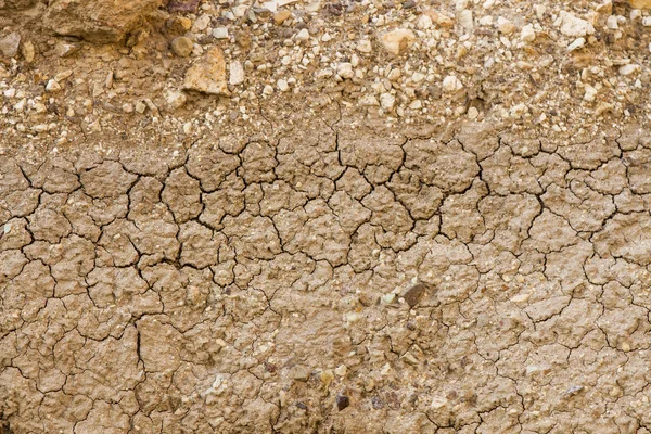 Trockener Lehmboden rissig — Stockfoto