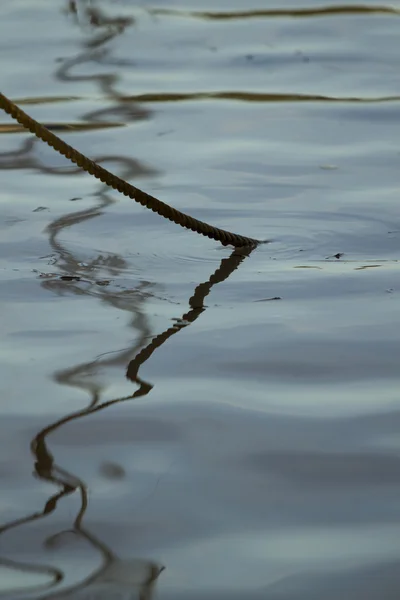 Corda marinha na água — Fotografia de Stock