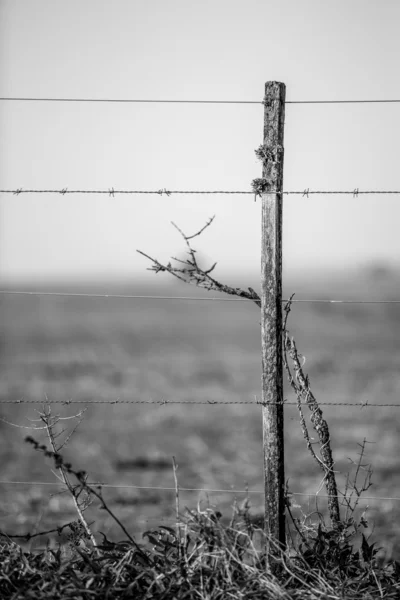 Trä och tråd stängsel — Stockfoto