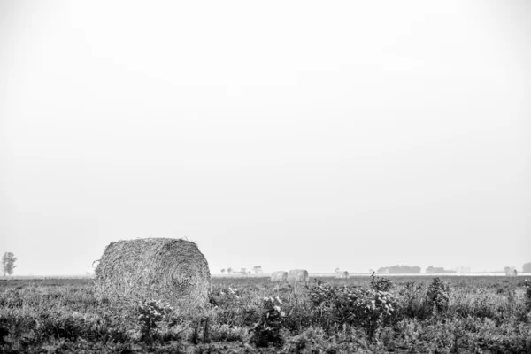 Большой тюк в сельской местности — стоковое фото