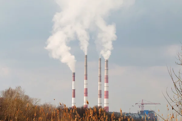 Planten met smog. — Stockfoto