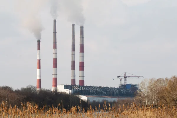 Planten met smog. — Stockfoto