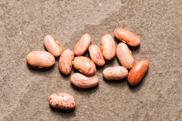 Beans. — Stock Photo, Image