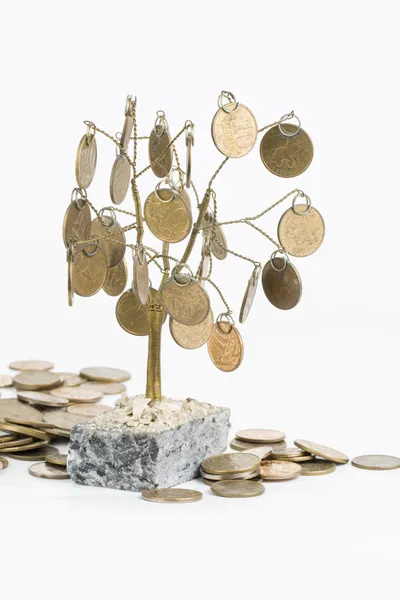 Monetary tree. — Stock Photo, Image