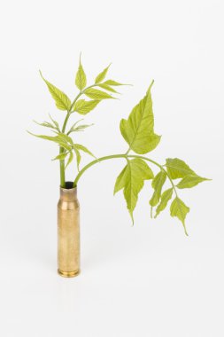 ağaç ve madde işaretleri.