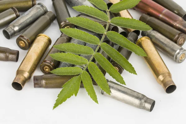 Tree and bullets. — Stock Photo, Image