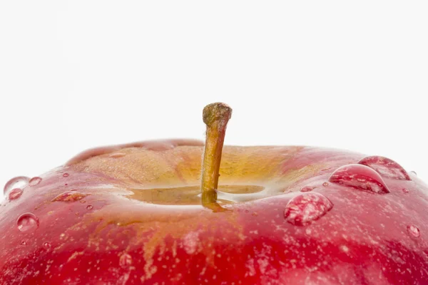 Apple. — Stock Photo, Image