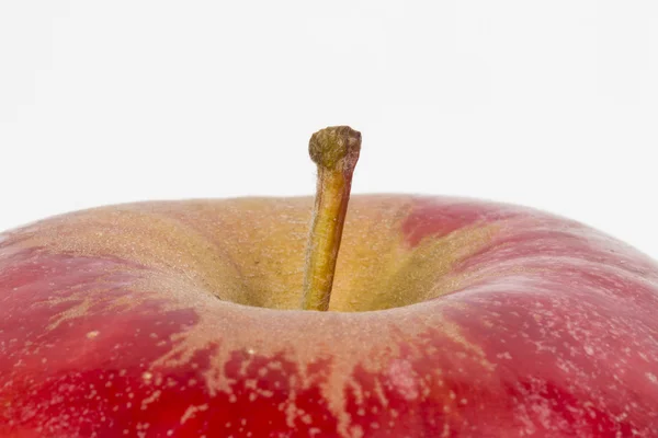 Apple. — Stock Photo, Image