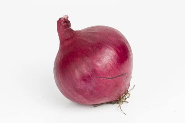 Onion. — Stock Photo, Image