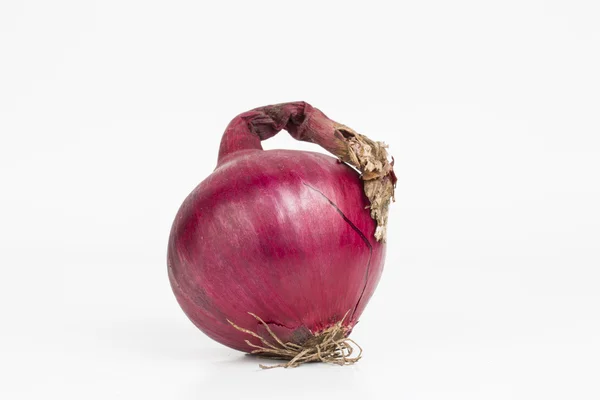 Onion. — Stock Photo, Image