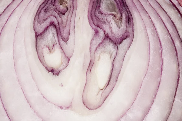 Onion. — Stock Photo, Image