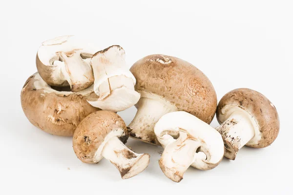 Fresh mushroom. — Stock Photo, Image