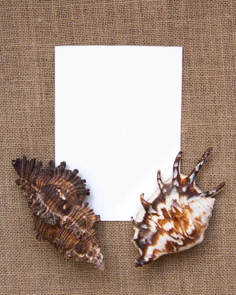 Borde de concha marina en textura de arpillera —  Fotos de Stock