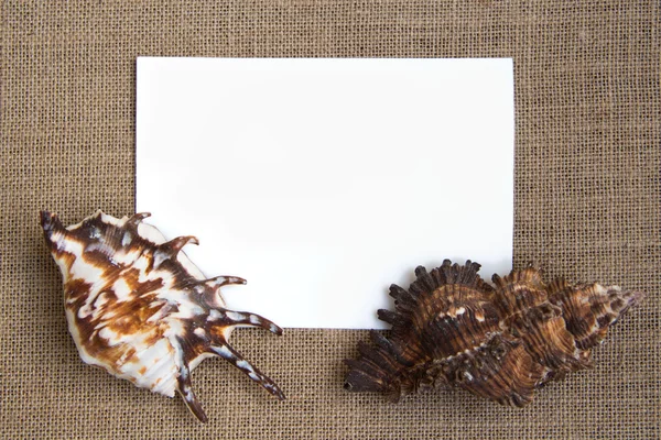 Borde de concha marina en textura de arpillera —  Fotos de Stock