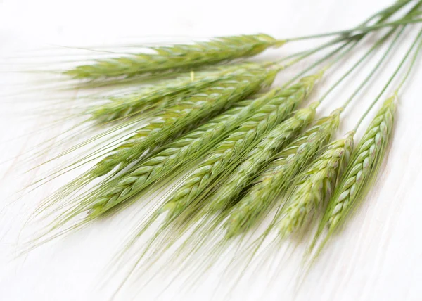 Grüner Weizen — Stockfoto