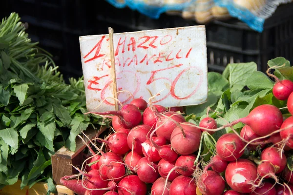 El rábano en el mercado — Foto de Stock