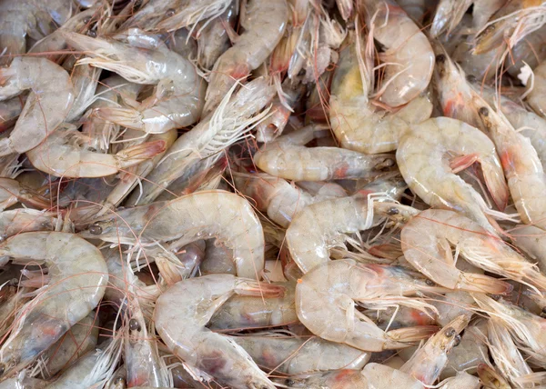 Crevettes fraîches sur un marché — Photo