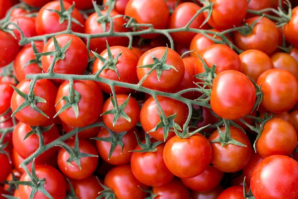 Los tomates cherry en el mercado —  Fotos de Stock