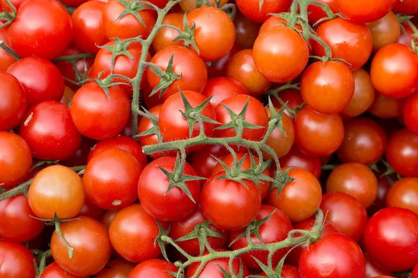 Tomates cherry —  Fotos de Stock