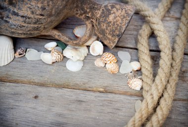 Deniz arka plan - kabukları, halat ve amphora