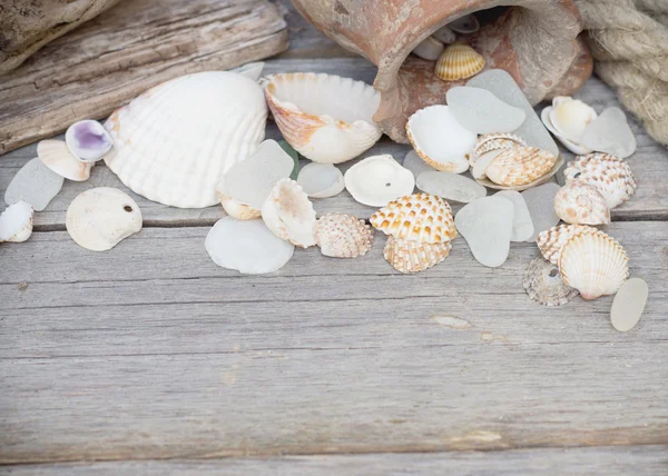 Marine background - seashells, rope and amphora — Stock Photo, Image