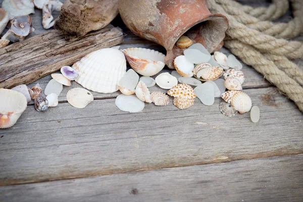 Marine background - seashells, rope and amphora — Stock Photo, Image